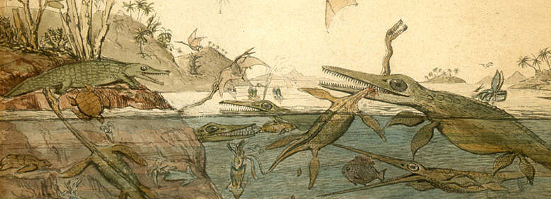 Timeless Zircon Jewelpedia